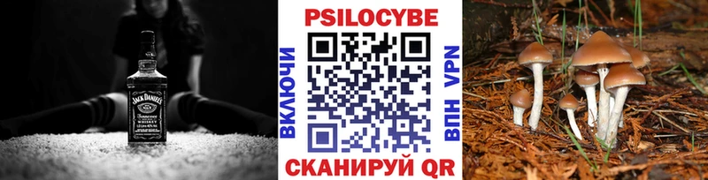 Галлюциногенные грибы Psilocybine cubensis KRAKEN ONION Спасск-Дальний